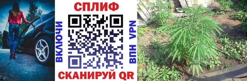 Бошки Шишки план Белово